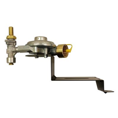 Weber-Stephen Products 64866 Grill Gas Valve/Regulator Assembly Q100-1 NS