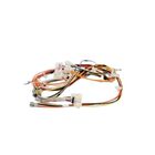 Electrolux 5304510128 Dryer Main Wiring Harness