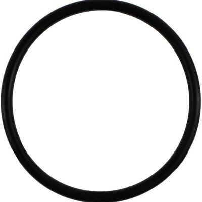 Whirlpool WPW10072840 Washing Machine O-ring Inner Cap Seal
