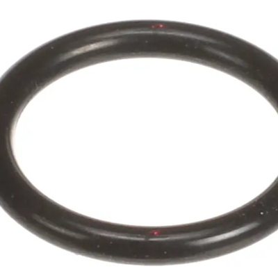Rinnai 109000252 Water Heater O-Ring