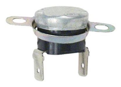 GE WB27X1127 Range Thermal Fuse