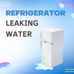 Refrigerator leaking water - APZ
